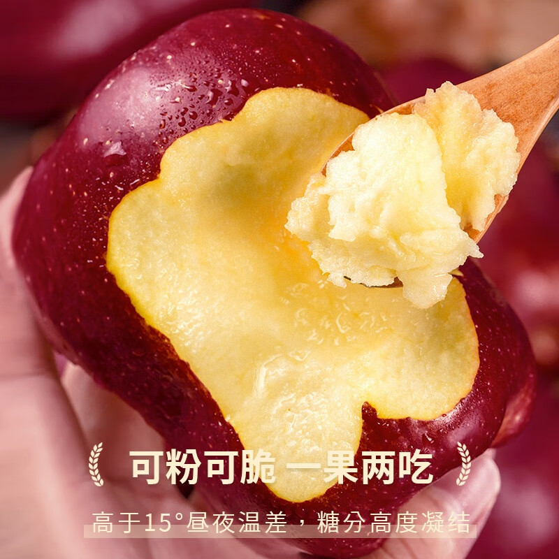 Uncle Sam Huaniu Apple Flash Delivery Gansu Tianshui Noodles Apple Fruit Gift Box Snake Fruit New Year's Day Sweetness Upgrade Fruit King 80-85mm 9 catties Best Deal - All-you-can-eat for the whole family Net 8.5 catties