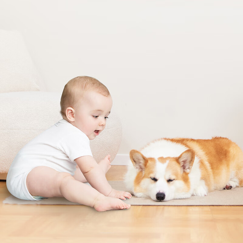 Mijia Daily Element Floor Cleaner (Mijia High Temperature Floor Washer & Crawler Floor Washer & All-purpose Sweeping and Mopping Robot)