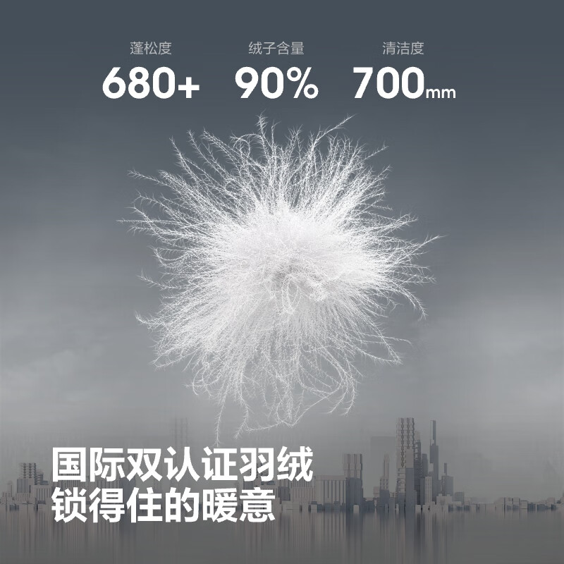 Bosideng 25 Years Down Jacket Uniform Sports Series Short Hooded Versatile Thickened Young Fashionable Jacket