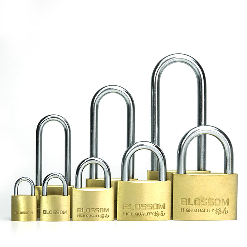 Plum blossom (BLOSSOM) copper padlock small 25mm waterproof and anti-rust lock dormitory cabinet door lock anti-theft window lock small copper padlock mini padlock luggage padlock can be opened copper padlock BC0725