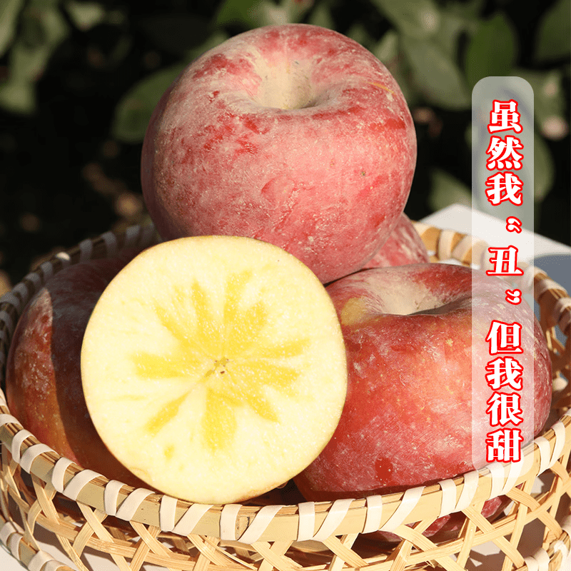 Xinjiang Rock Candy Heart Apple, Aksu Red Fuji Ugly Apple, Fresh Fruit 10kg Gift Box, Straight from the Source, Premium Portable Gift Box, 9kg, Egg Tray, 95mm or above, Super Fruit 11 Authorized, Inexpensive Price (JD Logistics)