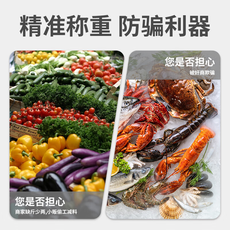 Padilin portable electronic scale spring scale hook scale express scale portable pull scale luggage mini hook scale