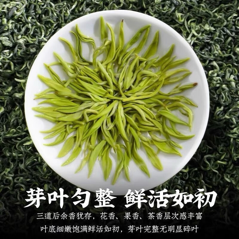 Yuefeng Special Biluochun Fragrance Green Tea 2025 New Tea Before the Rain Spring Tea Young Buds Tea for Yourself Drinking Gift Can 500g