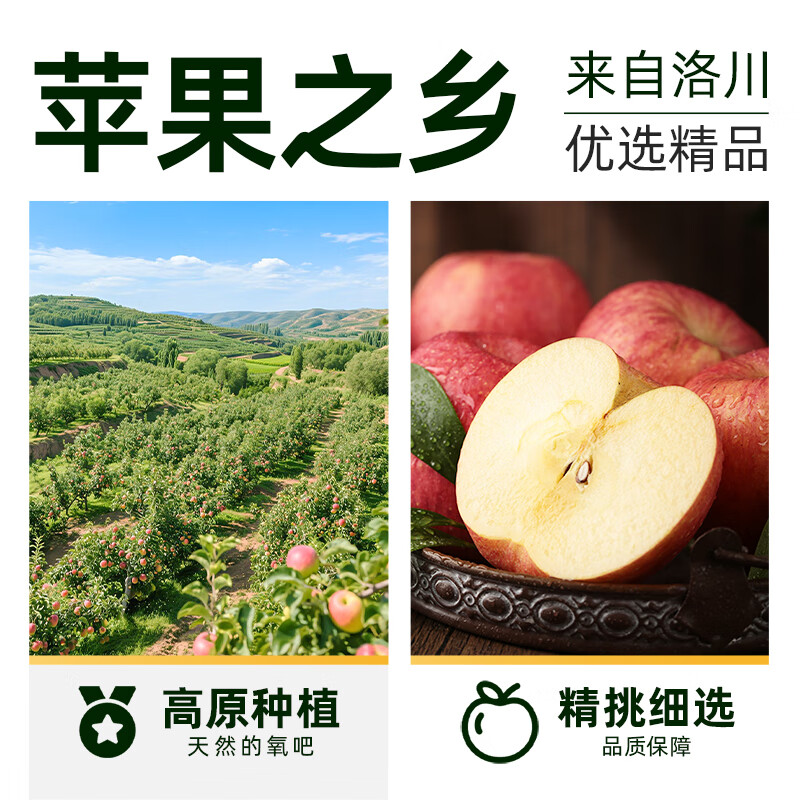 Western Region Meinong Authentic Shaanxi Luochuan Red Fuji Apple 2025 New Fruit 8.5 Jin 250g+ Crisp, Sweet and Fresh Straight from the Source