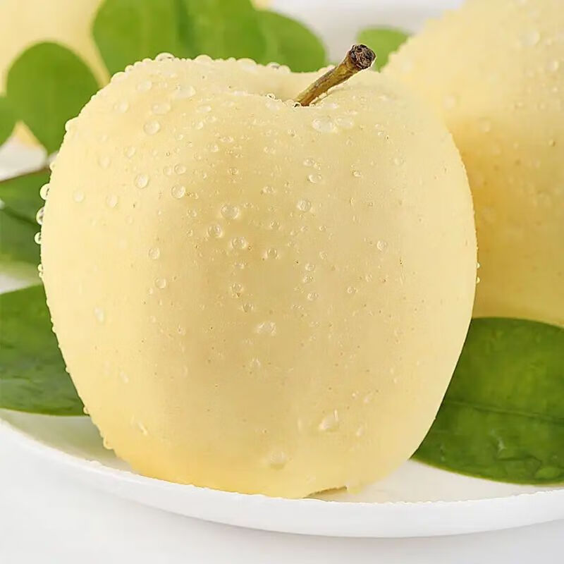 Uncle Sam Venus Apples, next-day delivery to multiple locations, golden apples, crispy and sweet, fresh new year gift box, fruit gift box, 5A quality fruit | single fruit 65-70mm, 10kg package, great deal - sharing package, net 8.5kg