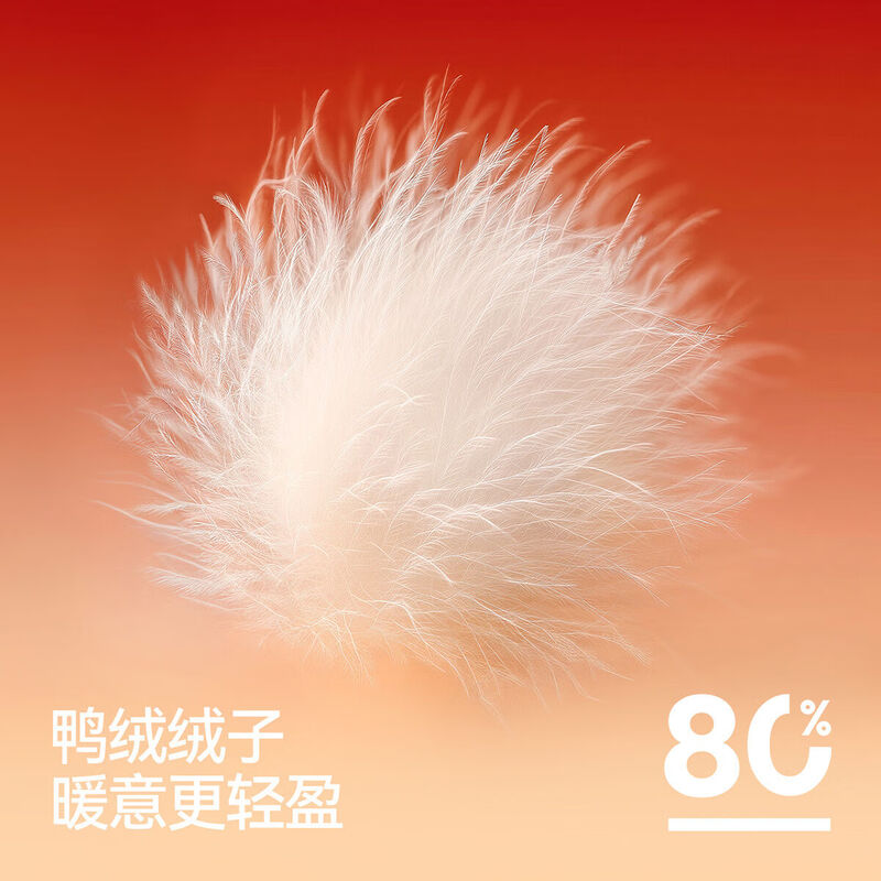 Semir down jacket men's winter 80 down jacket loose stand-up collar 2025 embroidered textured jacket 10A725113103