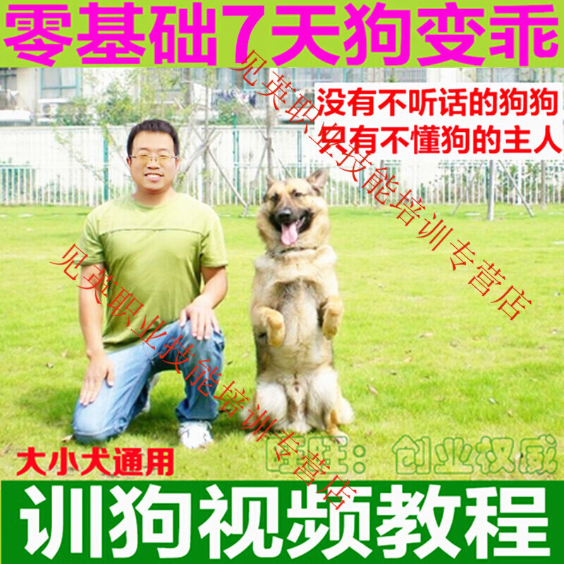 Dog Training Tutorial Dog Training Golden Retriever Border Collie Training Tutorial Zero-Based Dog Training Toilet at Fixed Points Note Value 3,000 Yuan, Special Price (Last 3 Hours)
