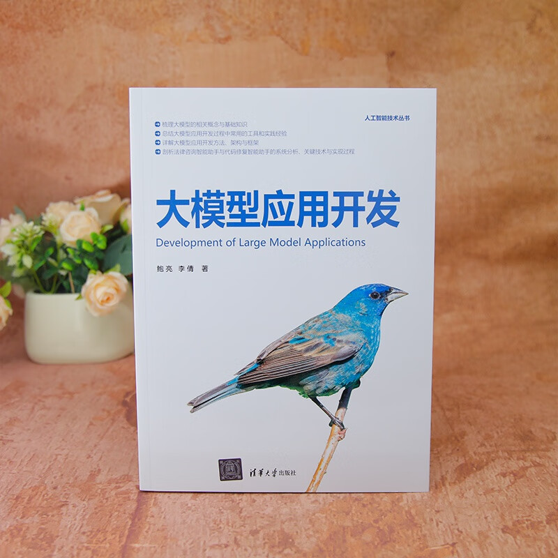 Large model application development (artificial intelligence technology series)