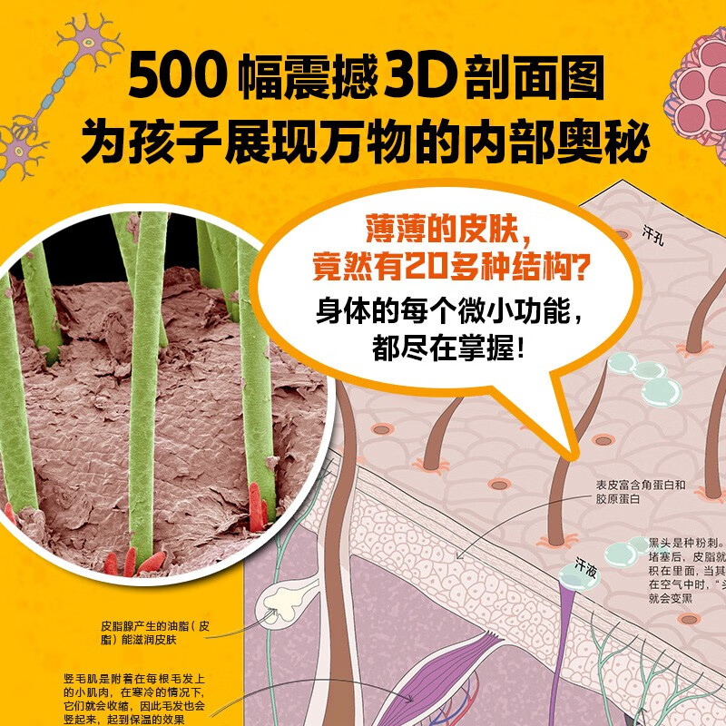 DK Disassembly Encyclopedia Series (2 volumes in total) The British company DK includes Disassembly Technology Encyclopedia + Disassembly Encyclopedia of Everything, popular science books for children