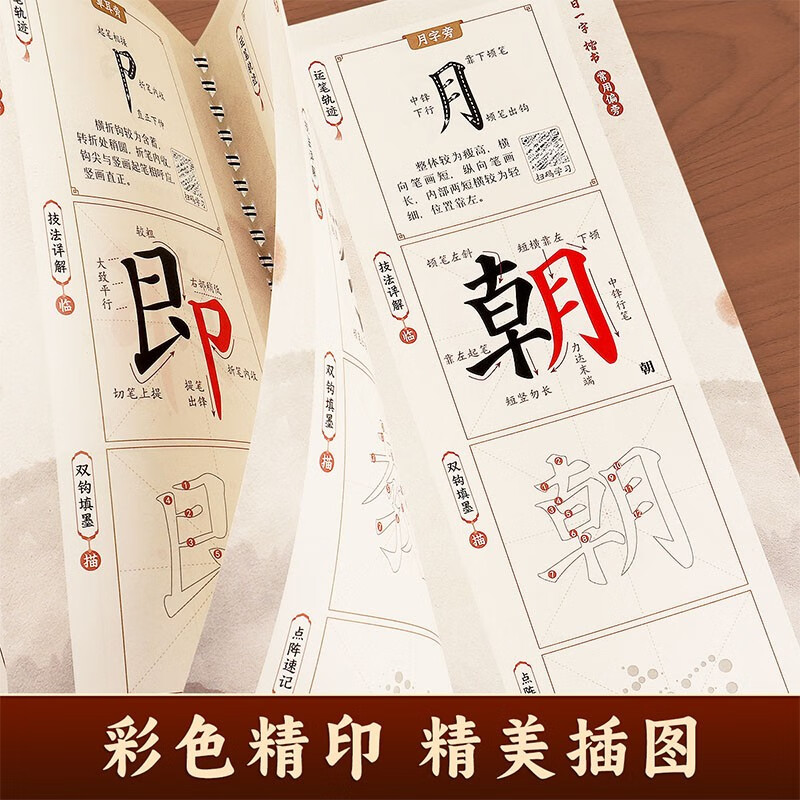 Daily one-word running script brush calligraphy introduction copying calligraphy card for adults, calligraphy hobby for primary and secondary school students, soft pen tracing video teaching guide copybook for beginners