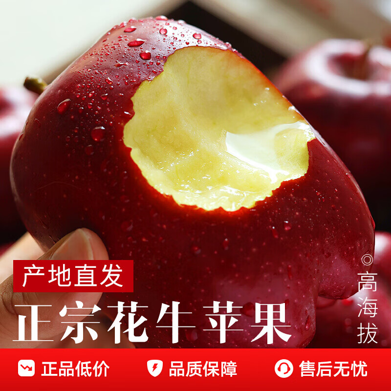 Uncle Sam Huaniu Apple Flash Delivery Gansu Tianshui Noodles Apple Fruit Gift Box Snake Fruit New Year's Day Sweetness Upgrade Fruit King 80-85mm 9 catties Best Deal - All-you-can-eat for the whole family Net 8.5 catties