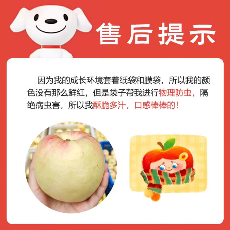 Territory Caihong Authentic Shaanxi Red Fuji Apple Fruit Seasonal Crisp Sweet Ugly Apple Fresh Pregnancy Fruit Whole Box Selected 14-16 Pieces Tasting Pack Naturally Ripe Small Fruit Crisp, Sweet and Juicy