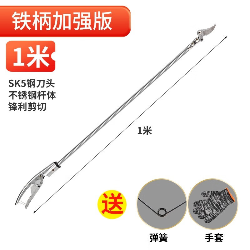 Jinge feather locust flower shears, high branch shears, pruning shears, stainless steel pruning, garden thinning flowers and thin fruit pruning, locust rice extension pole, high-altitude shears, pruning saw, 2.3 meters extension, 4 meters + saw blade gift