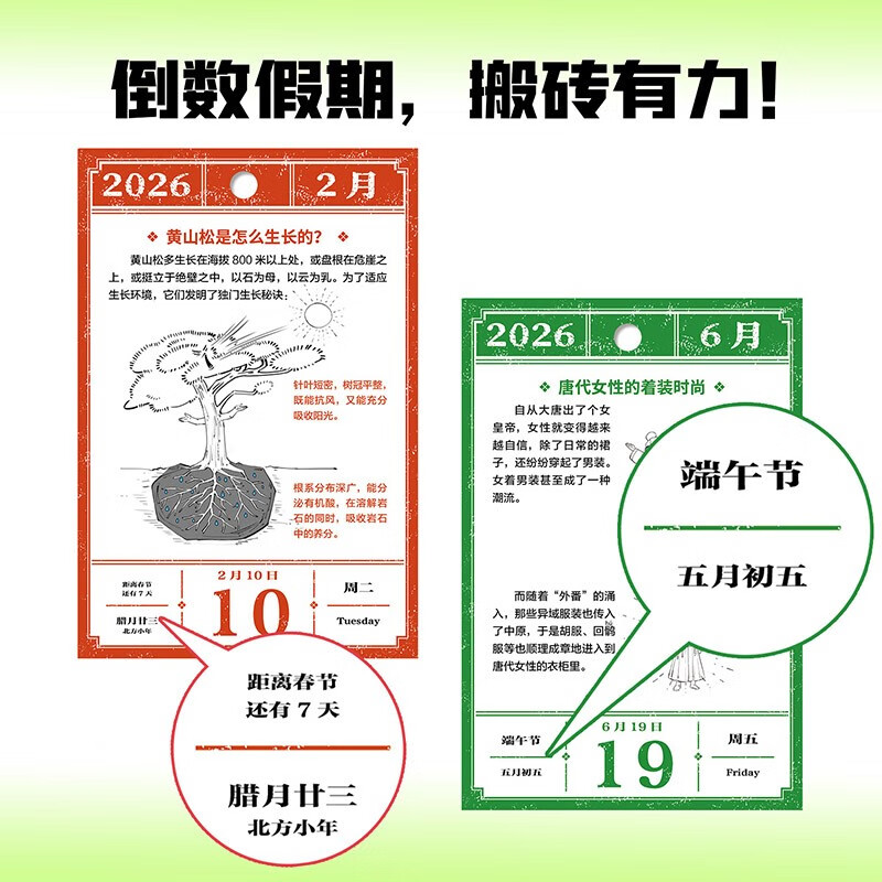 Autographed by Brother Hunzhi, Hunzhi Encyclopedia Calendar 2026, a new work by the author team of the half-hour comic popular science series, Hunzhi Comics, Grinding Iron, Top with New Year's Gift Box, Encyclopedia Knowledge, Popular Science Comic Books, Christmas Gifts, Gifts to Children and Friends, Send Book Reviews to Win Free Orders