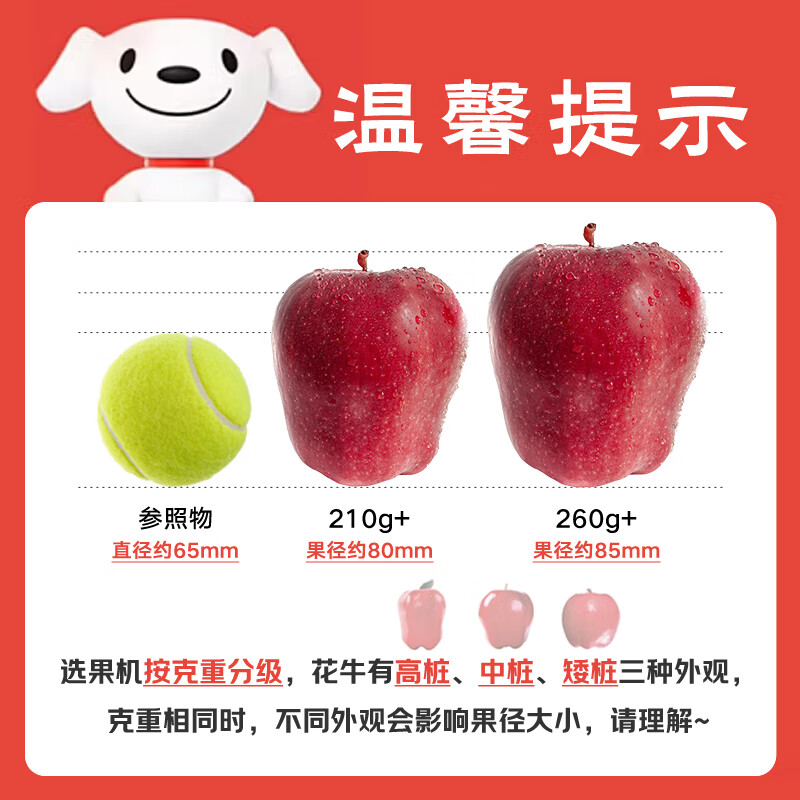 Jingxiansheng Tianshui Huaniu Apple, net weight 7kg, single fruit 260g+, fresh fruit straight from the source