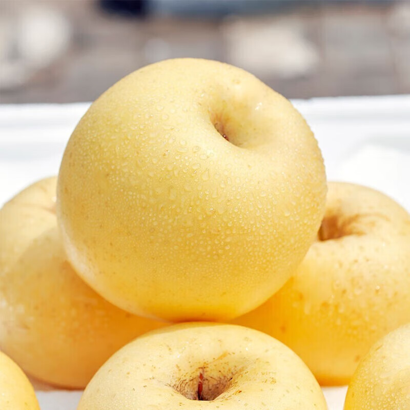 Jingdida Shandong Cream Fuji Apple Selected 8 Jin Fruit King Single Fruit 85mm + Direct Shipping from Source