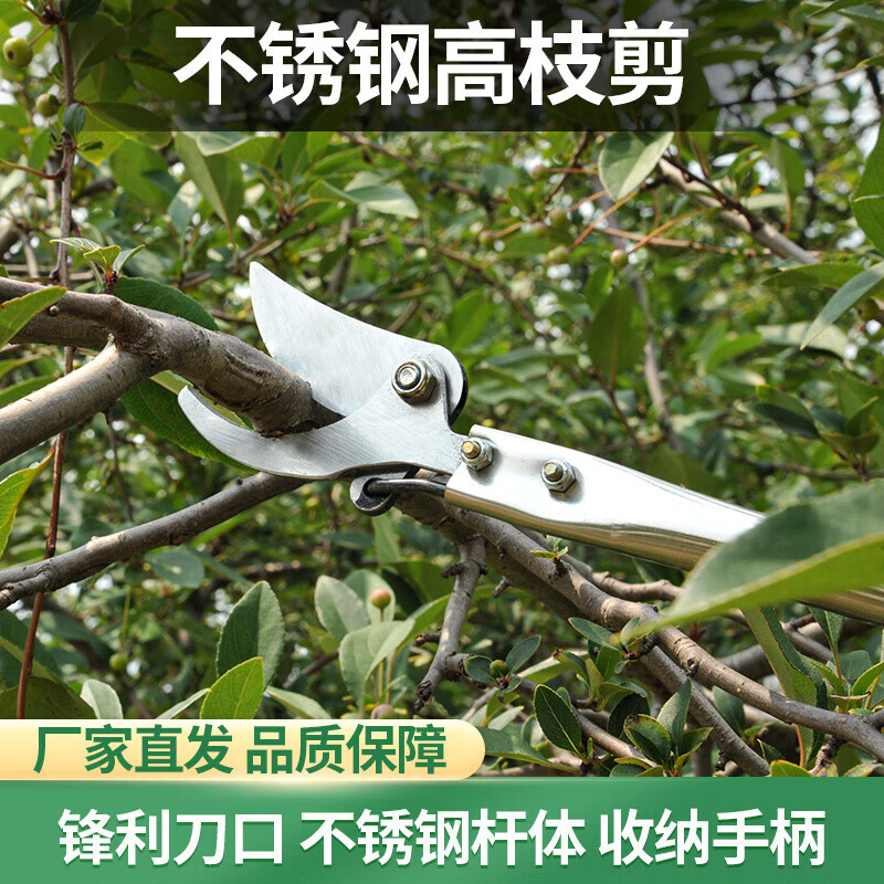 Jinge feather locust flower shears, high branch shears, pruning shears, stainless steel pruning, garden thinning flowers and thin fruit pruning, locust rice extension pole, high-altitude shears, pruning saw, 2.3 meters extension, 4 meters + saw blade gift