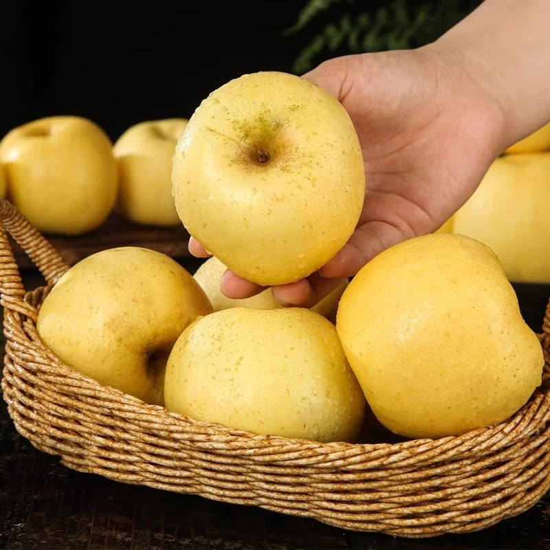 Beijing Fresh Shandong Cream Fuji Apple, net weight 8 pounds, single fruit 85-90mm, fresh fruit, direct shipping from the source, free shipping