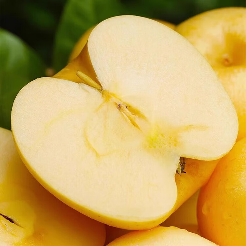 Dalian Golden Cream Fuji Apple Special Grade Authentic Seasonal Fruit White Fresh Season Picked Full Box Full Box 5 Jin 80-85mm