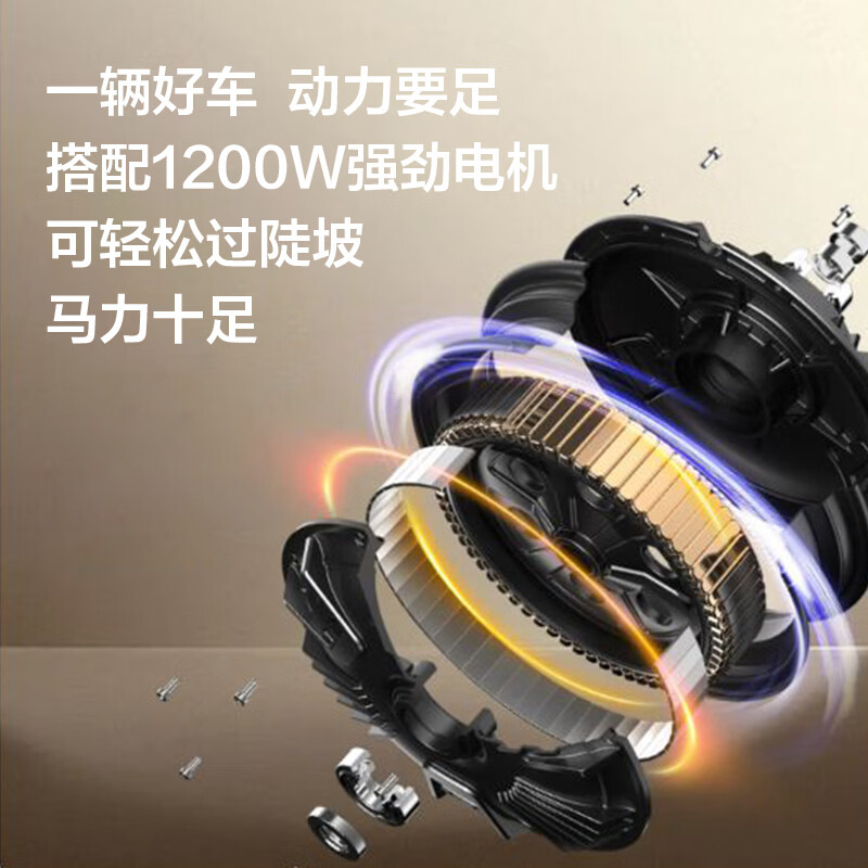 Sunra electric motorcycle Liman self-operated motorcycle 60v 5 lead-acid batteries 76km range large pedal electric car unisex battery car electric motorcycle brown