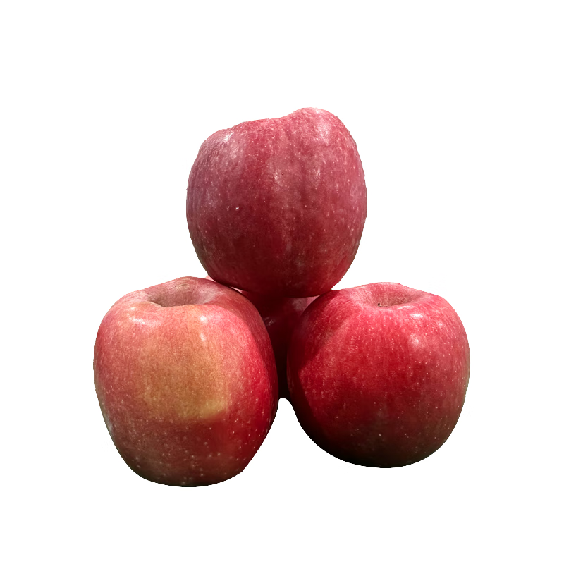 Jingxian Raw Shaanxi Ruixiang Red Apple Net Weight 4.5 Jin Single Fruit 70-75mm Fresh Fruit Straight from the Source
