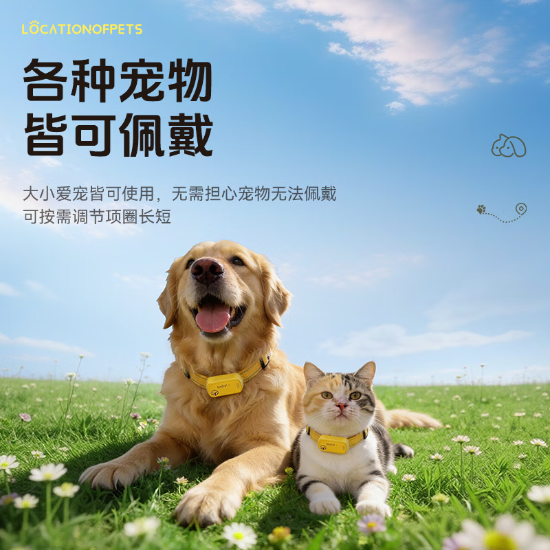 Wise Nation pet GPS positioning tracker sports anti-loss collar cat and dog universal waterproof anti-disassembly tracking artifact