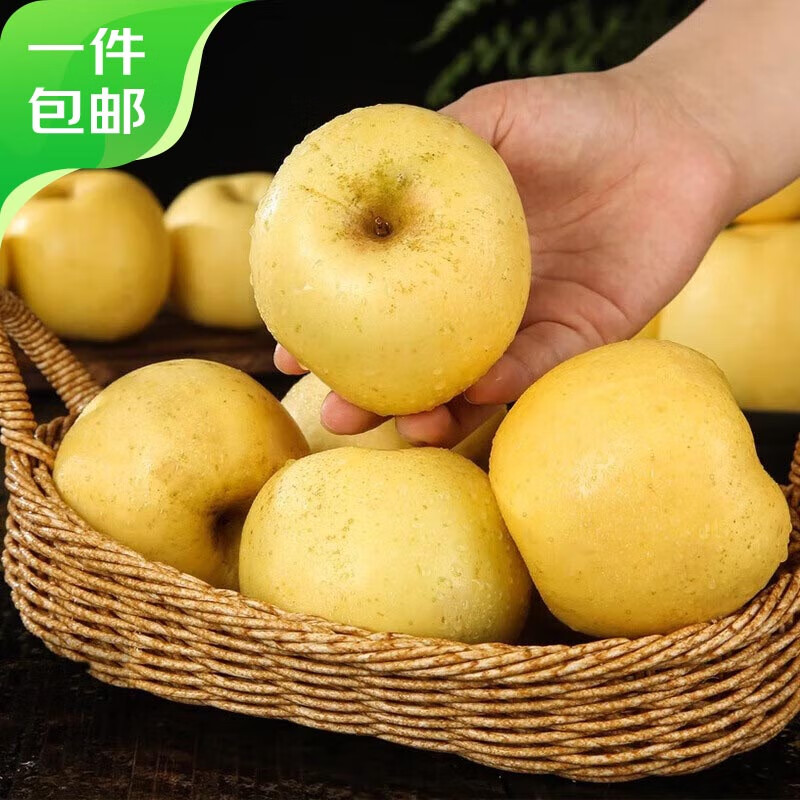 Jingxiansheng Shandong Golden Cream Fuji Ugly Apple, net weight 4.5kg, single fruit 210g+, seasonal and fresh, straight from the source