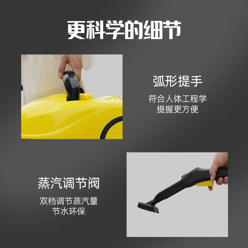 TDB DALX commercial steam cleaning and disinfection machine mop household high pressure and high temperature cleaning machine 30 seconds quick heating kitchen range hood cleaning machine degreasing floor scrubber sterilization QW-H101