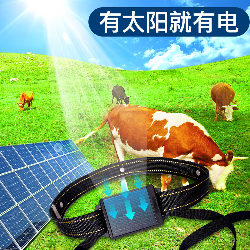 Zhenjiang cattle and sheep locator for grazing in Mashan District to prevent loss of livestock and animal monitoring and tracking tracking device GPS solar