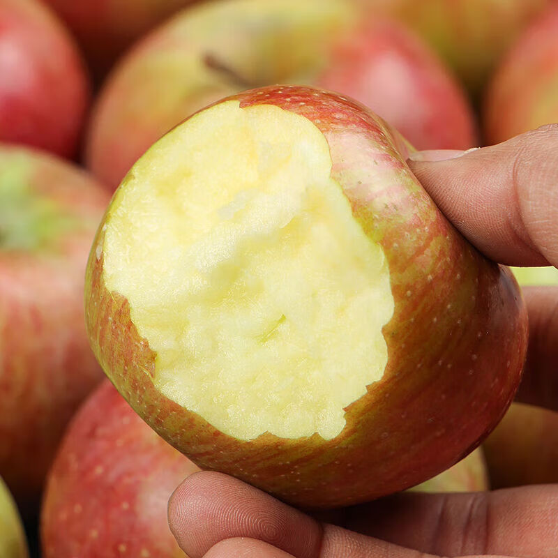 Fresh small Guoguang apple Northeastern authentic old tree Guoguang apple sour and sweet seasonal fruit for pregnant women 9-9.5 catties small fruit (with box)