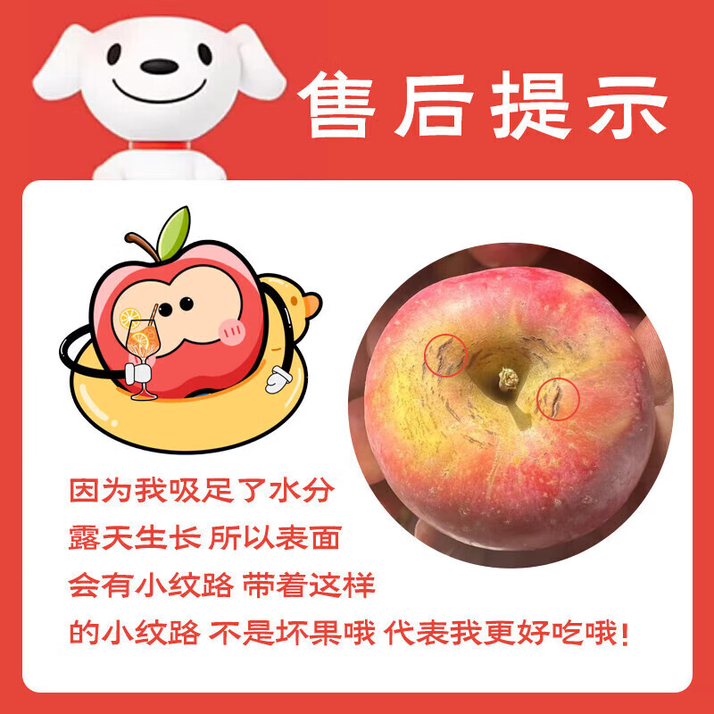 Longduoxian Xinjiang Rock Candy Apples, Ugly Apples, Fresh Fuji Seasonal Fruits, Recommended Holiday Gifts, Full Box of 5 Jin, Selected Fruit with Diameter 80-95MM, Net 4.5 Jin