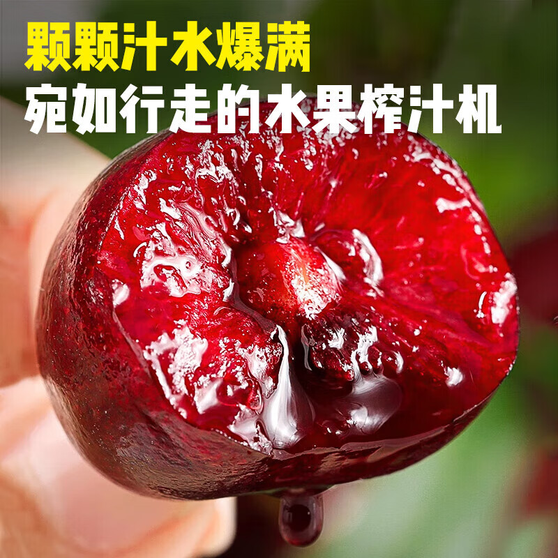 Xiaohanwa Chilean cherries 5kg4J optional, next-day delivery to multiple places, imported large cherry fruit Spring Festival gift box, 4kg (net weight), 5kg in box, family pack, high-end gift box, premium fruit J 26-28mm