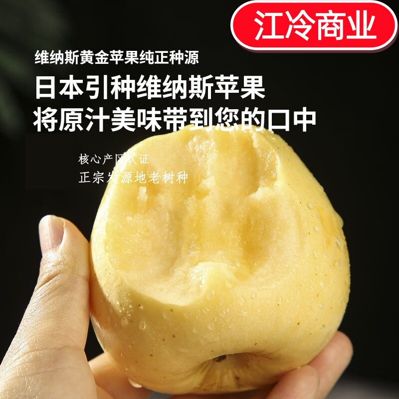 Jingdida Shandong Yantai Golden Venus Apple, 4.5 catties net, single fruit 70-75mm, direct shipping from source, free shipping