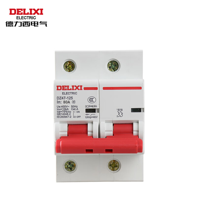 Delixi Electric Air Switch High Power Current Household Circuit Breaker Short Circuit Protector DZ47-125 2P li(C) 80A