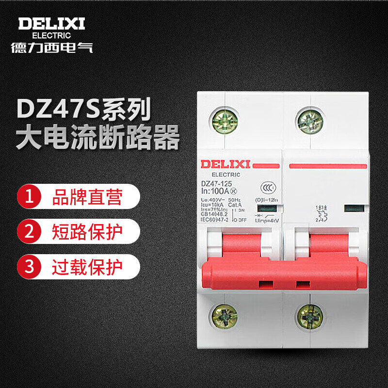 Delixi Electric Air Switch High Power Current Household Circuit Breaker Short Circuit Protector DZ47-125 2P li(C) 80A
