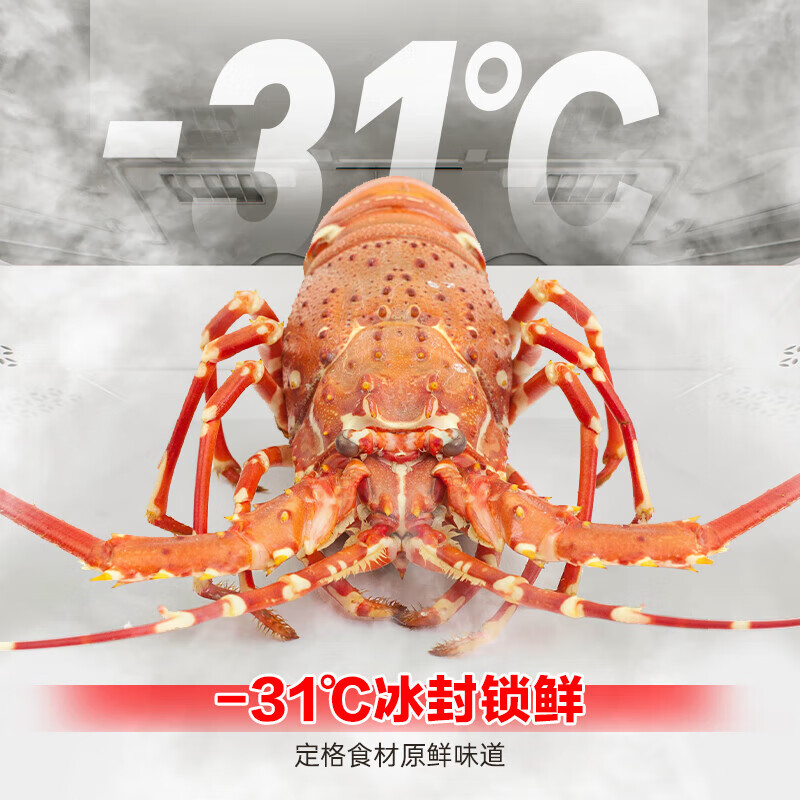 Rongsheng refrigerator 460/502/507 liter French multi-door four-door household ultra-thin zero-embedded first-class energy efficiency air-cooled energy-saving double frequency conversion large capacity bottom cooling refrigerator 507L French zero-embedded independent dual system | IDP active sterilization