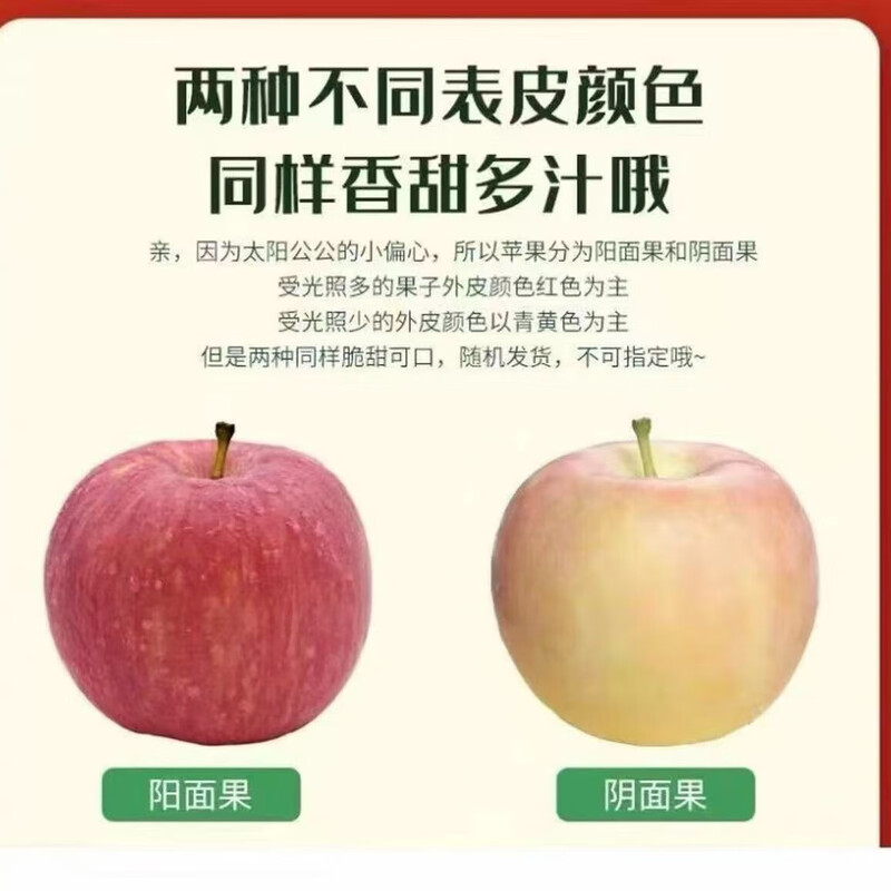 Yuncheng Apple Shanxi Yuncheng Fuji Ugly Apple Linyi Film Bag Apple Crisp, Sweet and Juicy Whole Box Pallet Packed with Box 1 Jin Small Fruit Color Box (65-70mm)
