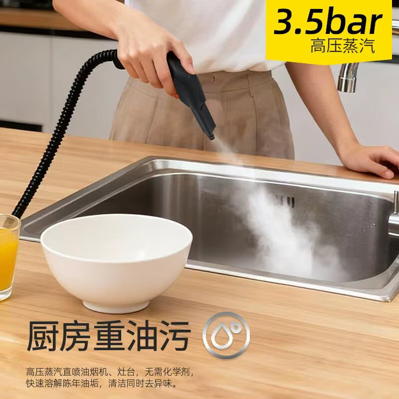 TDB DALX commercial steam cleaning and disinfection machine mop household high pressure and high temperature cleaning machine 30 seconds quick heating kitchen range hood cleaning machine degreasing floor scrubber sterilization QW-H101