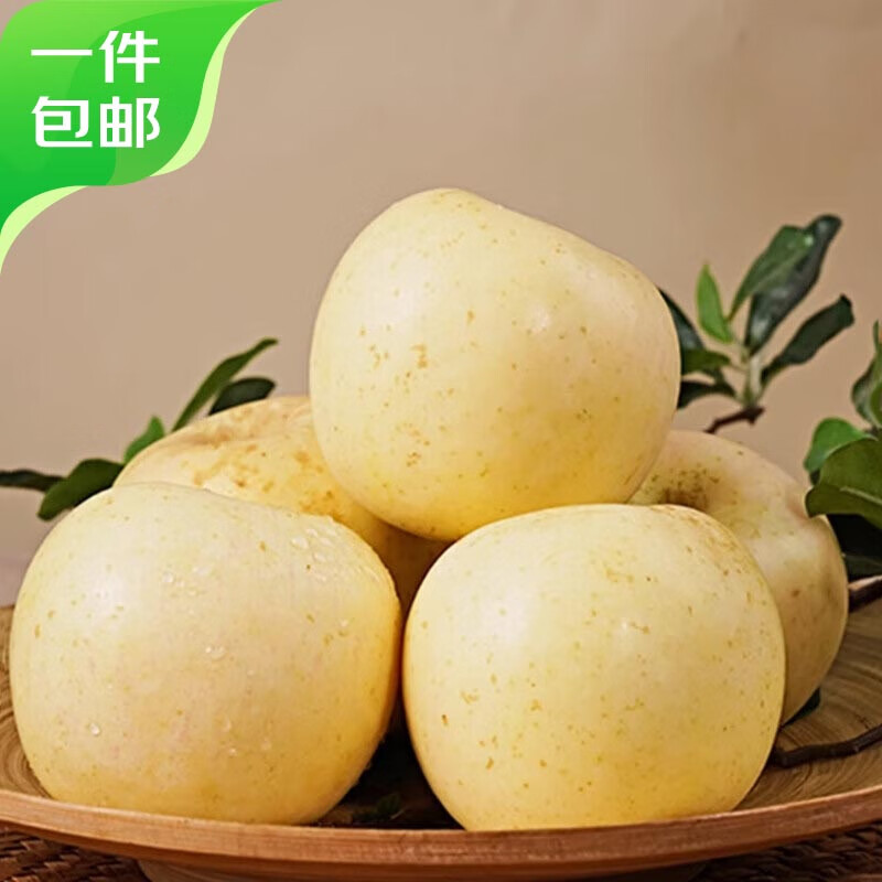 Jingxiansheng Shandong Golden Cream Fuji Ugly Apple, net weight 4.5kg, single fruit 210g+, seasonal and fresh, straight from the source