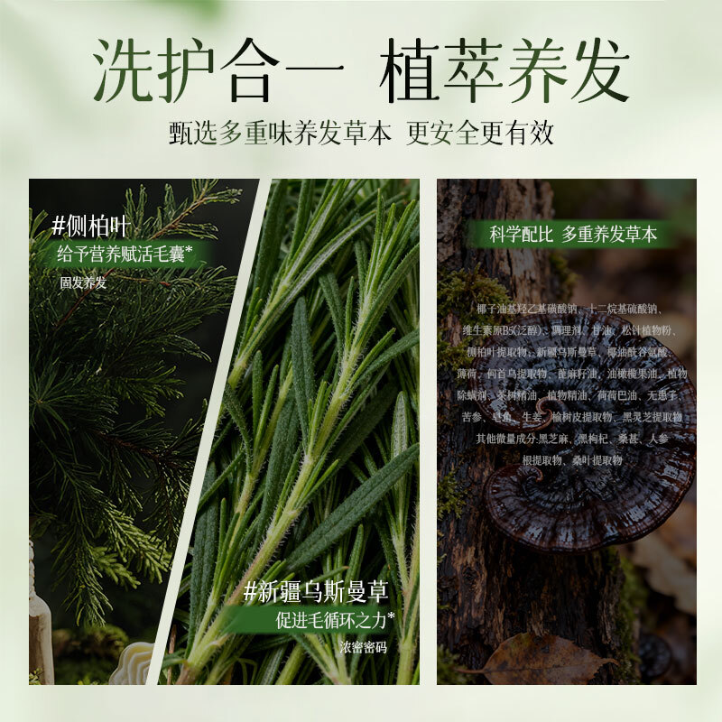 Fan Yongchen (fanyongchen) Platycladus arborvitae leaf shampoo soap Usman grass shampoo soap anti-hair breakage oil control fluffy anti-dandruff Polygonum multiflorum shampoo