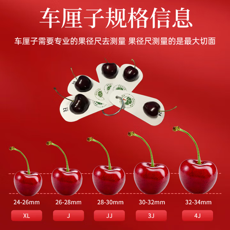 No. 1 member store free card Chilean cherries 2J extra large fruit 450g ready stock Download No. 1 member store to collect cherries