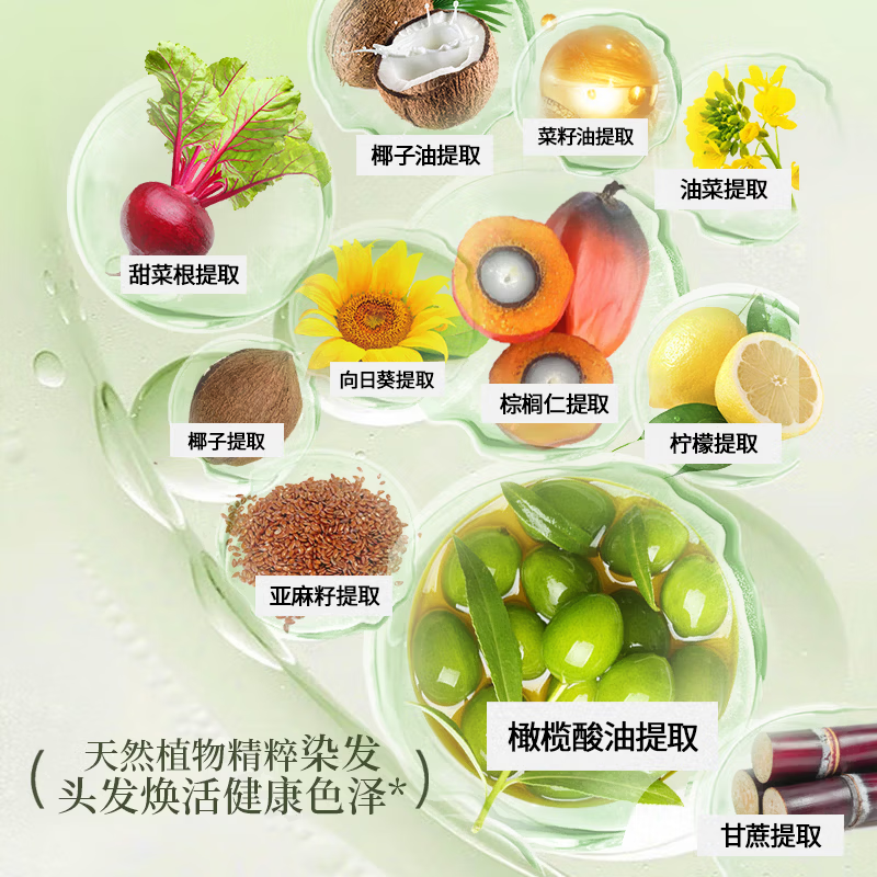 VitalStyl imported hair dye 2N natural black 155ml natural organic plant extract healthy ammonia-free covering white hair