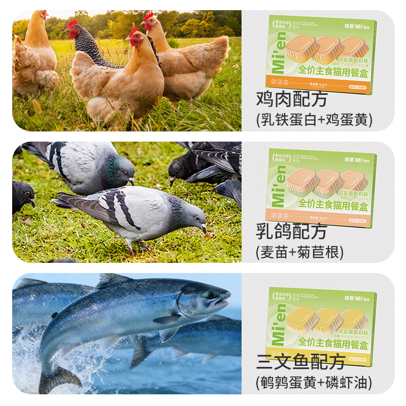 Mien cat canned full-price staple food lunch box for adult cats and kittens, hydrating wet food cat rice, squab 40g*6 cans