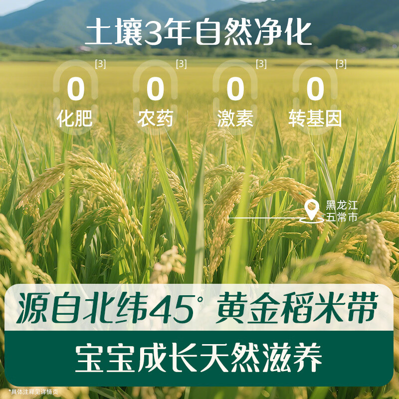 Engnice Infant Organic Vitamin D Plus Calcium Strawberry Apple Flavor 248g Nutritious Rice Powder Baby Food Complementary Rice Powder 7 Months+