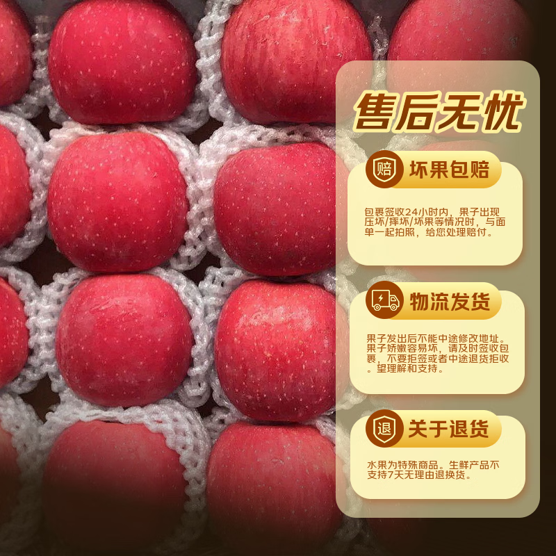 Dongdong Farm exclusively supplies Alpine Red Fuji Apple Orchard Straight Haired Ugly Apple with Thin Skin and Juicy New Fruit of the Season, 1 Jin in Box, Net Weight 0.7 Jin, 75mm