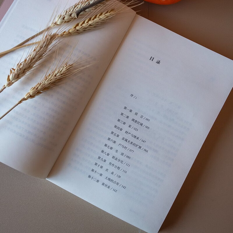 Jiangcun Economy Companion to Fei Xiaotong’s Sociology Classic Rural China The Life of Chinese Peasants