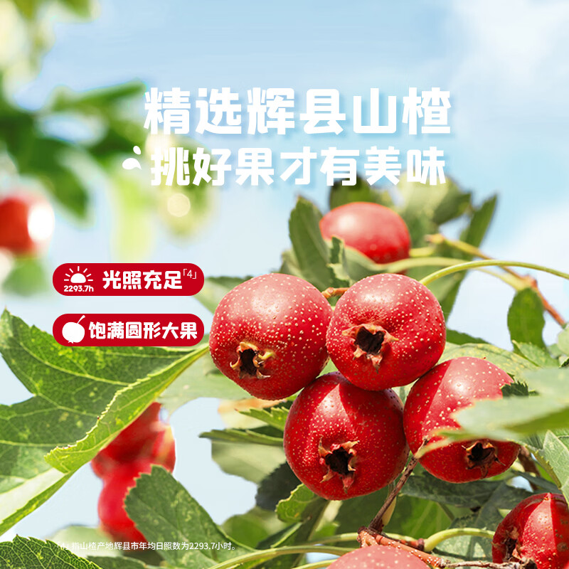 Ying's Yoghurt Hawthorn Slices 60g Preserved Fruit and Candied Chicken Ginseng Independent Small Bag Children's Snacks to Satisfy Cravings