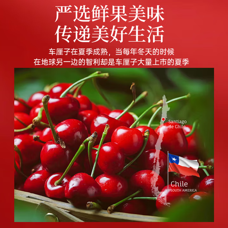 No. 1 member store free card Chilean cherries 2J extra large fruit 450g ready stock Download No. 1 member store to collect cherries