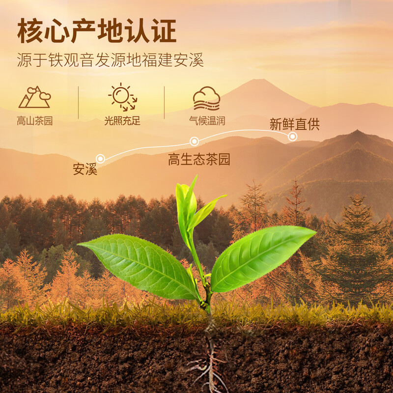 Yi Jiangnan Special Grade Tieguanyin Tea Gift Box New Year's Day Gift 500g New Year's Gift for Parents and Elders Tianzun