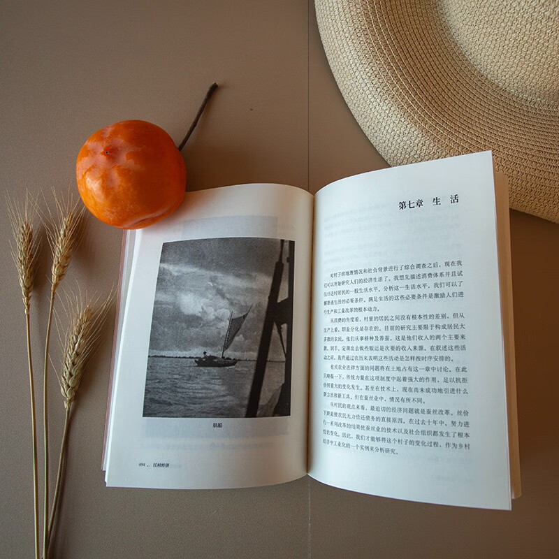 Jiangcun Economy Companion to Fei Xiaotong’s Sociology Classic Rural China The Life of Chinese Peasants